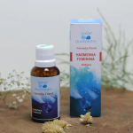 Floral Harmonia Feminina