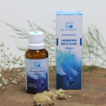 Floral Harmonia Masculina