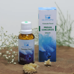 Floral Provas Concursos